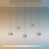 Paul Neuhaus PURE Falling Rings Pendelleuchte LED Bronze, Chrom, 5-flammig, Fernbedienung