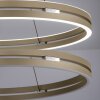 Paul Neuhaus PURE E-Loop Pendelleuchte LED Bronze, 2-flammig, Fernbedienung