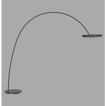 Paul Neuhaus PURE Loop-Bow Bogenleuchte LED Schwarz, 2-flammig