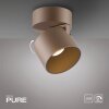 Paul Neuhaus PURE Cup Deckenleuchte LED Bronze, 1-flammig