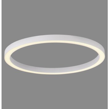 Paul Neuhaus PURE Lines Round Deckenleuchte LED Weiß, 1-flammig, Fernbedienung