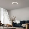 Paul Neuhaus PURE Lines Round Deckenleuchte LED Weiß, 1-flammig, Fernbedienung