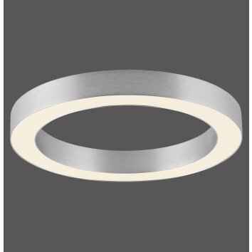 Paul Neuhaus PURE Lines Round Deckenleuchte LED Transparent, Klar, 1-flammig, Fernbedienung