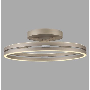 Paul Neuhaus PURE Loop Deckenleuchte LED Bronze, 2-flammig, Fernbedienung