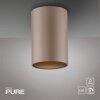 Paul Neuhaus PURE Point Deckenleuchte LED Bronze, 1-flammig