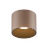 Paul Neuhaus PURE Point Deckenleuchte LED Bronze, 1-flammig