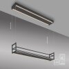 JUST LIGHT SONTURA Pendelleuchte LED Schwarz, 2-flammig