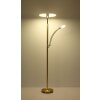 Globo Tirana Deckenleuchte LED Messing, 1-flammig
