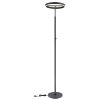 Globo Emanuel Deckenleuchte LED Anthrazit, Schwarz, 1-flammig