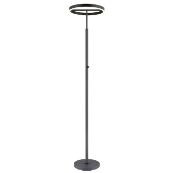 Globo Emanuel Deckenleuchte LED Anthrazit, Schwarz, 1-flammig