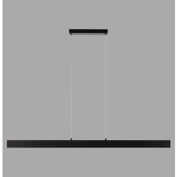 JUST LIGHT DRITTO Pendelleuchte LED Schwarz, 1-flammig
