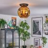 Ripoll Deckenleuchte Glas 30 cm Gold, 1-flammig