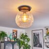Ripoll Deckenleuchte Glas 30 cm Klar, 1-flammig
