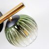 Chehalis Deckenleuchte Glas 10 cm Gold, Schwarz, 3-flammig