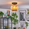 Ripoll Deckenleuchte Glas 30 cm Bernsteinfarben, 1-flammig