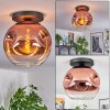 Ripoll Deckenleuchte Glas 30 cm Klar, Kupferfarben, 1-flammig