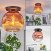 Ripoll Deckenleuchte Glas 30 cm Klar, Kupferfarben, 1-flammig