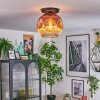 Ripoll Deckenleuchte Glas 30 cm Klar, Kupferfarben, 1-flammig