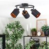 Fallhagen Deckenleuchte Schwarz, 3-flammig