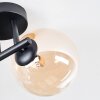 Chehalis Deckenleuchte Glas 15 cm Bernsteinfarben, Klar, Rauchfarben, 3-flammig