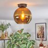 Koyoto Deckenleuchte Glas 25 cm Gold, 1-flammig