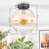 Koyoto Deckenleuchte Glas 25 cm Bernsteinfarben, Klar, 1-flammig