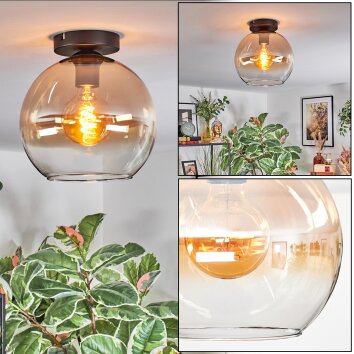 Koyoto Deckenleuchte Glas 25 cm Bernsteinfarben, Klar, 1-flammig
