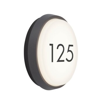 AEG Letan Round Außenwandeuchte LED Anthrazit, Weiß, 1-flammig