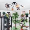 Koyoto Deckenleuchte Glas 15 cm Bernsteinfarben, Klar, Rauchfarben, 6-flammig