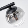 Chehalis Deckenleuchte Glas 10 cm, 12 cm Bernsteinfarben, Klar, Rauchfarben, 3-flammig