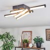 Fenol Deckenleuchte LED Chrom, Schwarz, 1-flammig