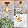 Ripoll Deckenleuchte Glas 30 cm Klar, 1-flammig