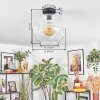 Ripoll Deckenleuchte Glas 30 cm Klar, 1-flammig