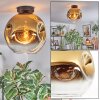 Ripoll Deckenleuchte Glas 30 cm Gold, Klar, 1-flammig