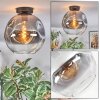 Ripoll Deckenleuchte Glas 30 cm Klar, Rauchfarben, 1-flammig