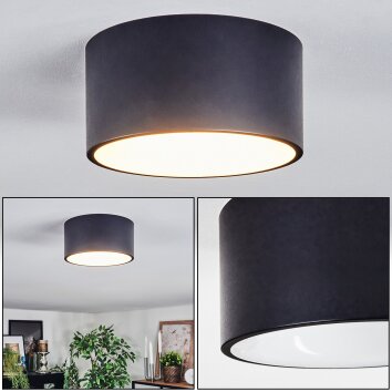 Falor Deckenleuchte LED weiß matt, 1-flammig