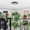 Lidor Deckenleuchte LED Grau, Schwarz, 1-flammig