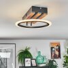 Galen Deckenleuchte LED Holzoptik, Schwarz, 1-flammig