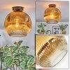 Ripoll Deckenleuchte Glas 30 cm Gold, Klar, 1-flammig