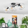 Koyoto Deckenleuchte Glas 15 cm Klar, 4-flammig