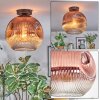 Ripoll Deckenleuchte Glas 30 cm Klar, Kupferfarben, 1-flammig