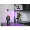 LED E27 10 Watt Kelvin 330 Lumen