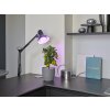 LED E27 10 Watt Kelvin 330 Lumen