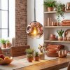 Ripoll Hängeleuchte Glas 20 cm Klar, Kupferfarben, 1-flammig