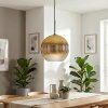 Koyoto Hängeleuchte Glas 30 cm Gold, Klar, 1-flammig