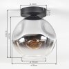 Ripoll Deckenleuchte Glas 20 cm Chrom, Klar, Rauchfarben, 1-flammig