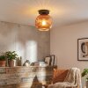 Ripoll Deckenleuchte Glas 20 cm Kupferfarben, 1-flammig