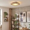 Lucera Deckenpanel LED Holzoptik, Schwarz, 1-flammig