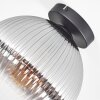 Koyoto Deckenleuchte Glas 25 cm Klar, Rauchfarben, 1-flammig