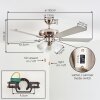 Stelo Deckenventilator mit Beleuchtung Naturfarben, Nickel-Matt, Silber, 3-flammig